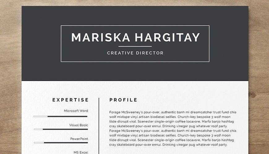 Free Resume Template Word InDesign