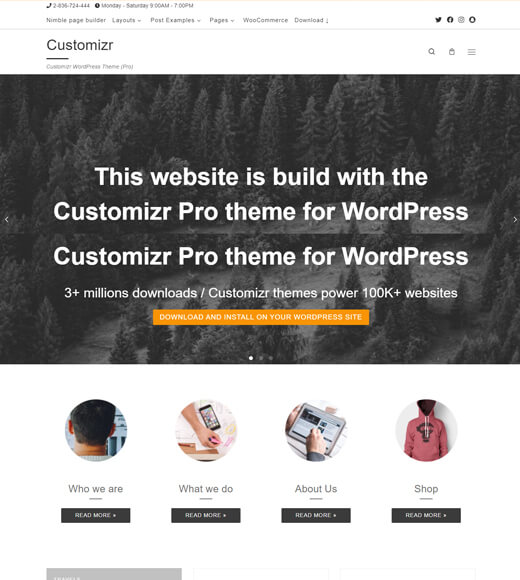 customizr best multipurpose wordpress themes