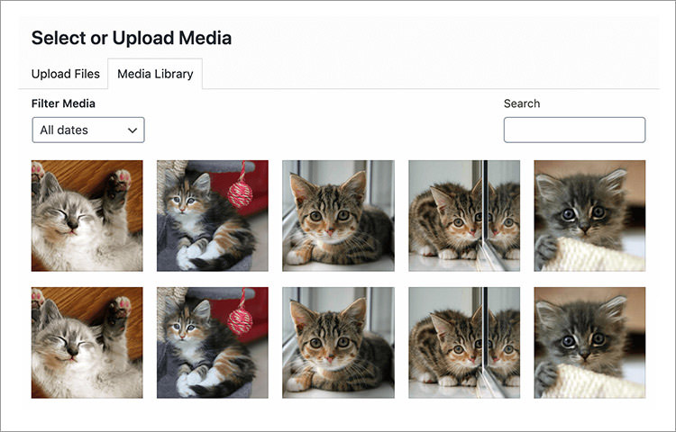 WordPress media library showing cat images