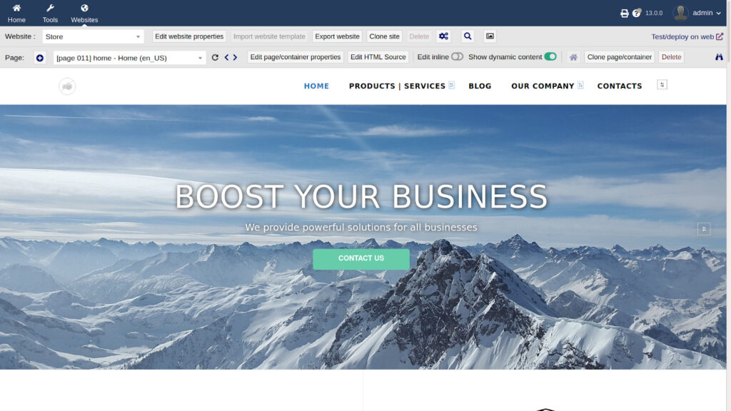 Corporate Website Example in Dolibarr ERP Software