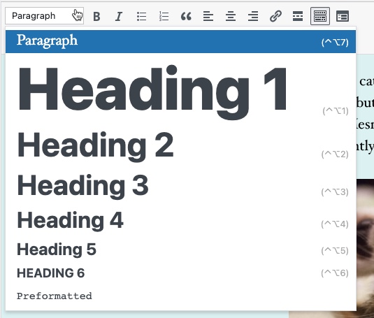 heading paragraph menu