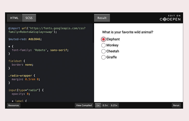 custom accessible radio input