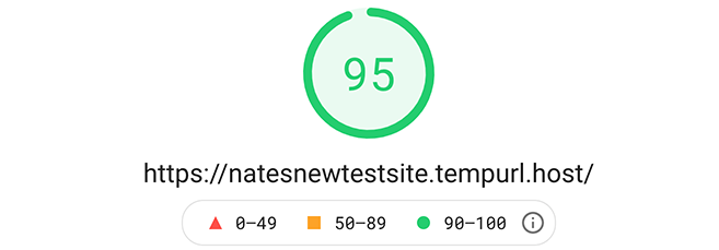 95 google pagespeed insight score.