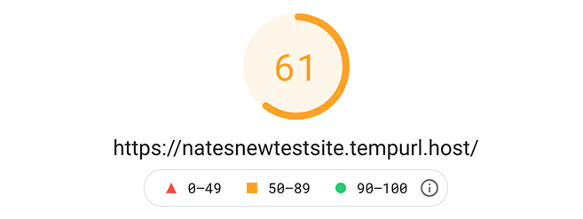 61 google pagespeed insight score of 61.