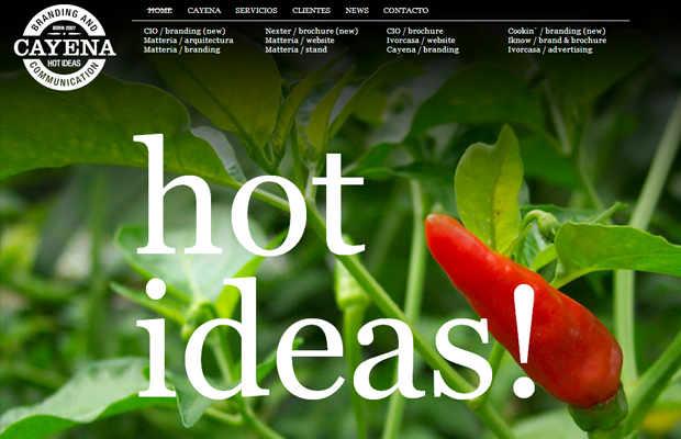 hot chili peppers website layout photography