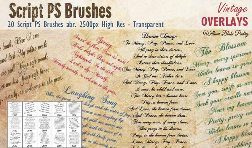 Script vintage antique adobe photoshop ps brush brushes abr pack set free