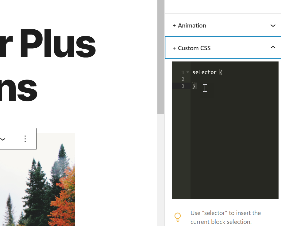 css customization for editor plus plugin