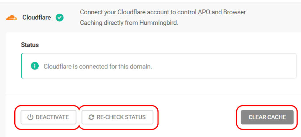 Cloudflare setting in Hummingbird