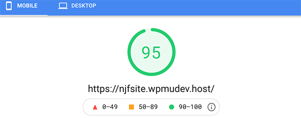95 mobile google pagespeed insights score.