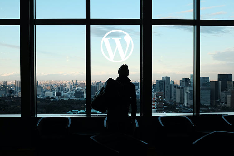 Example from WordPress Plugin Acquisitions: What They Say About the Future