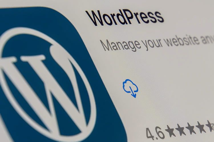 Example from Scenarios Where WordPress May Not Be the Best Option