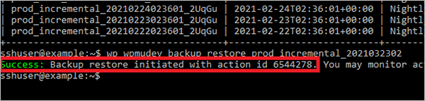 WP-CLI Restore Backup