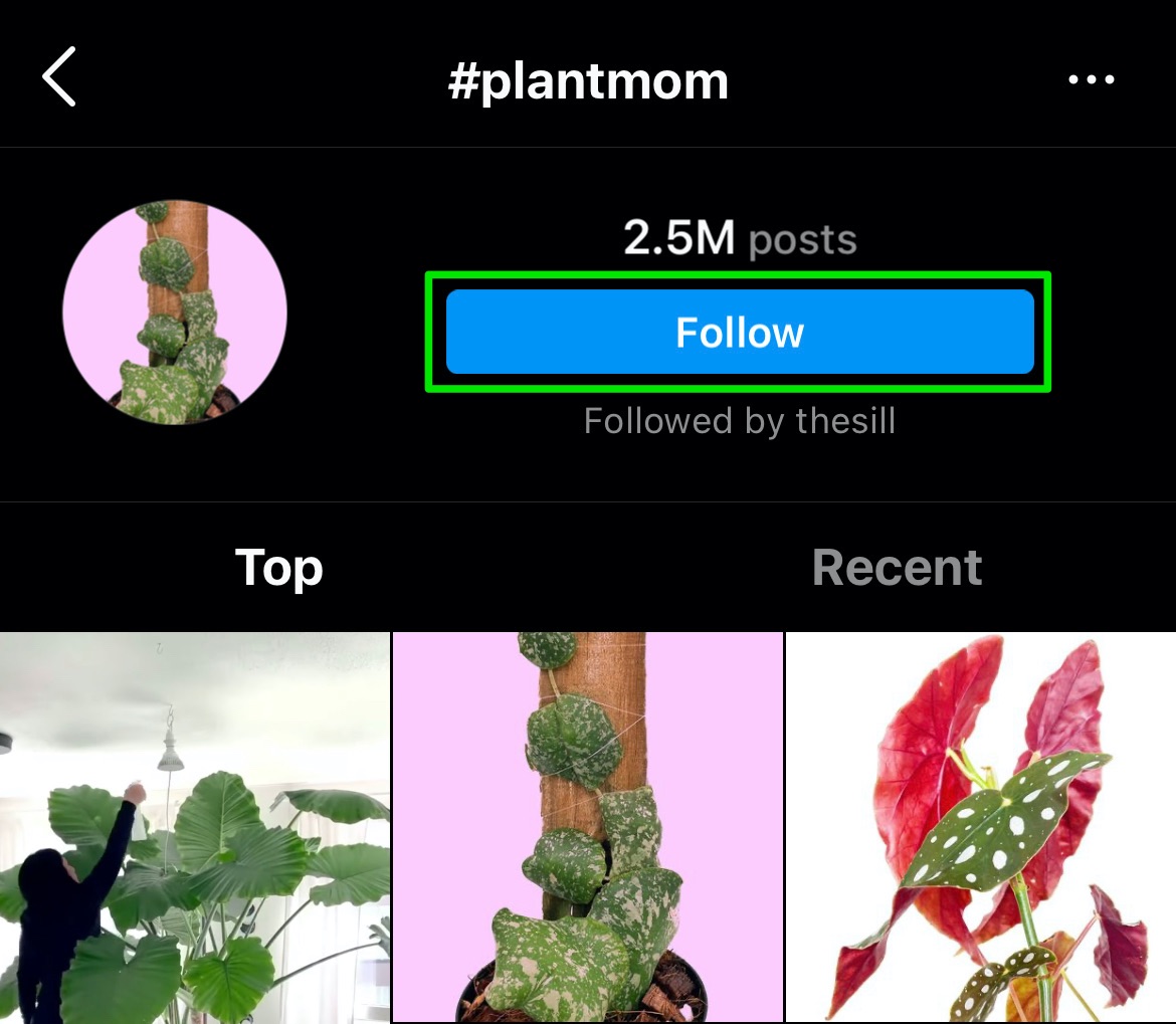 plantmom hashtag follow option
