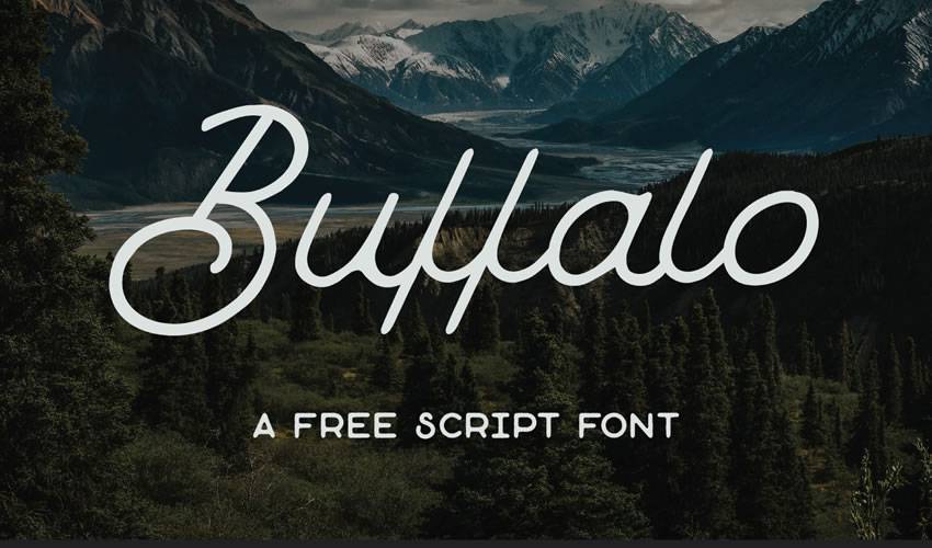 free font calligraphy typography script Buffalo