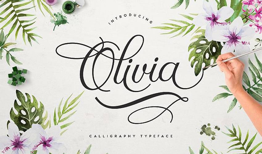 free font calligraphy typography script Olivia Script