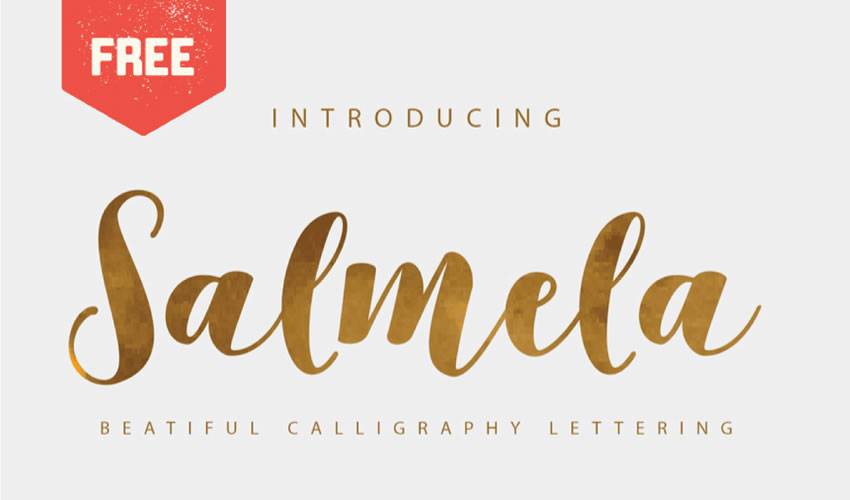 free font calligraphy typography script Salmela Calligraphy