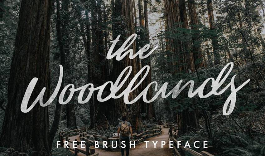 free font calligraphy typography script The Woodlands