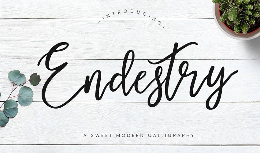 free font calligraphy typography script Endestry Modern