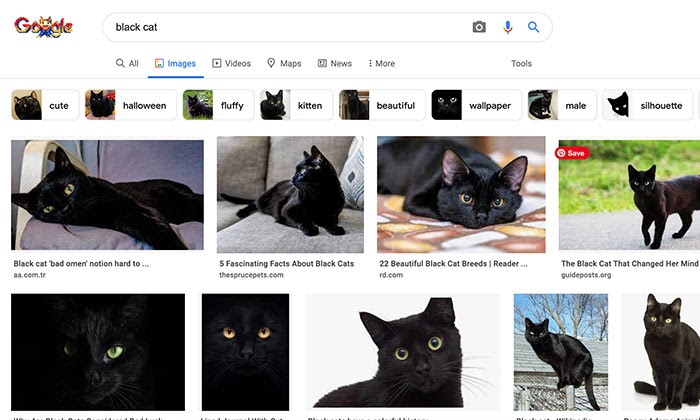 How to Use Google Advanced Image Search - Go to images.google.com