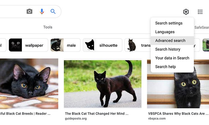 How to Use Google Advanced Image Search - Select Advanced Options from Menu