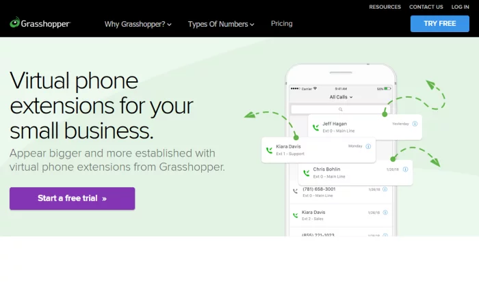 Grasshopper extensions splash page for VoIP Phone Services