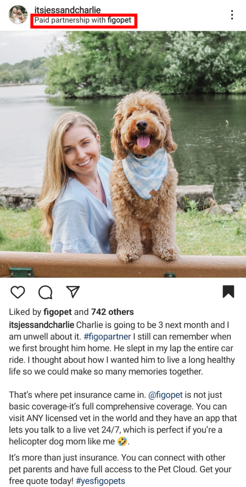 what paid partnership posts look like on instagram
