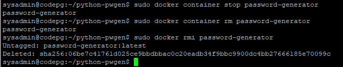 Docker Containerization Python Flask