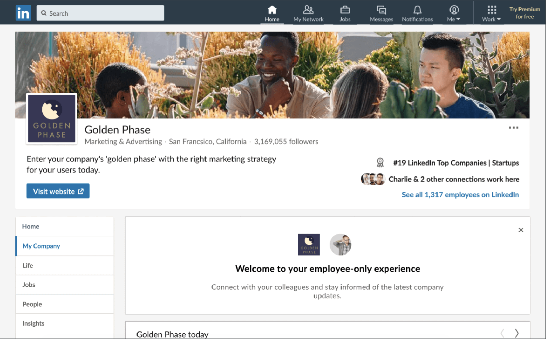 Screenshot of the "My Company" tab by LinkedIn that helps employees connect, communicate and celebrate with each other within a well-established social network.