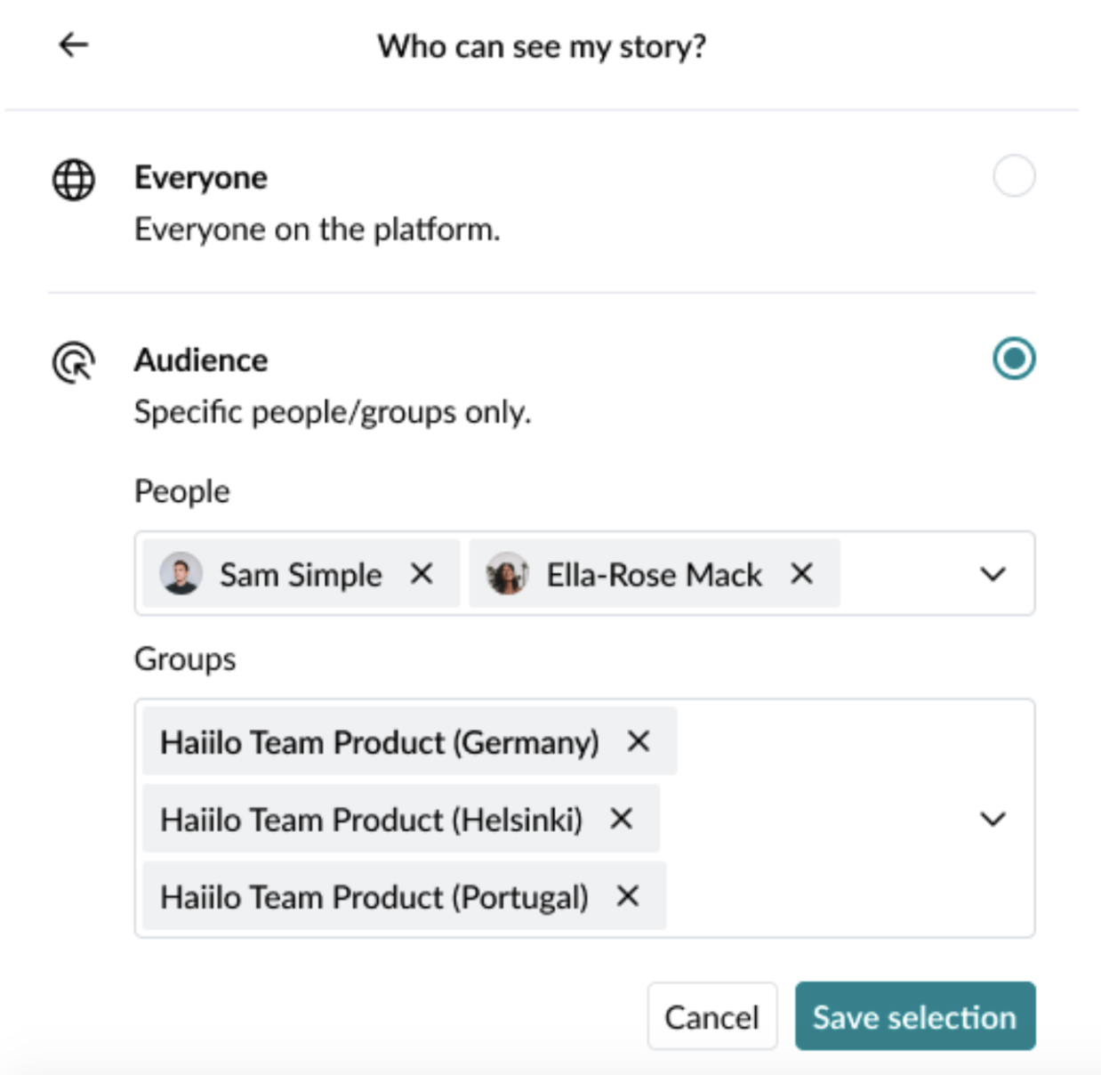 Preview of Haillo's Story settings where you can set audience and visibility preferences.