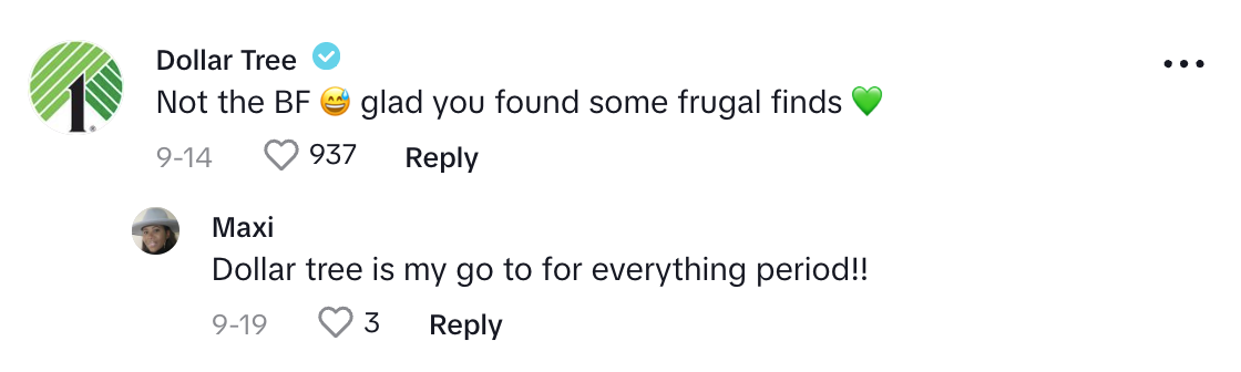 A comment from Dollar Tree on TikTok which says, "Not the BF, glad you found some frugal finds." A customer responds saying Dollar Tree is their go-to for everything.