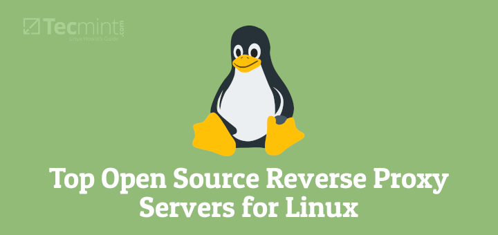 10 Best Open Source Reverse Proxy Servers for Linux