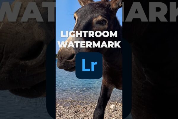how-to-add-a-watermark-in-lightroom-shorts