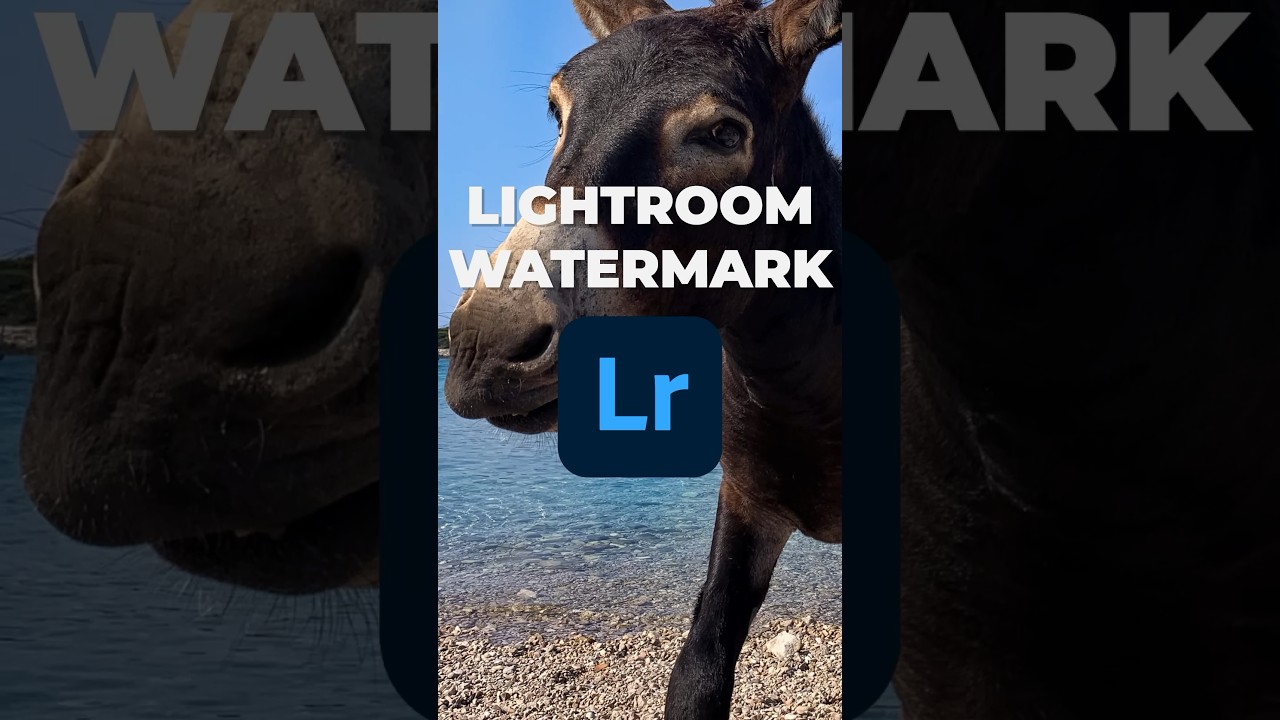 how-to-add-a-watermark-in-lightroom-shorts