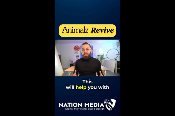 find-that-outdated-seo-content-with-animalz-revive