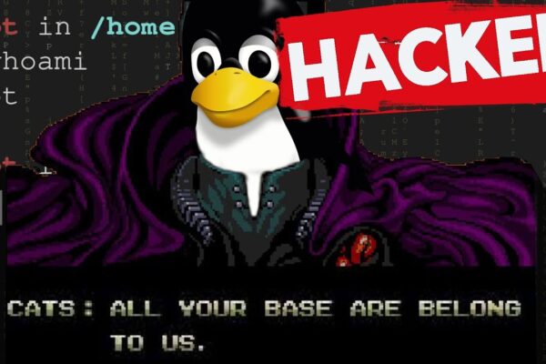 gain-access-to-any-linux-system-with-this-exploit