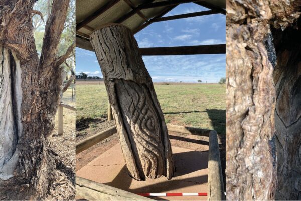 Unveiling the Untold Tales of _marara_ and _dhabuganha_: Insights from Wiradjuri Elders on Carved Trees and Burial Sites