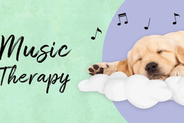 music-therapy-for-meditation-and-relaxation-full-tracks-royalty-free-background-music