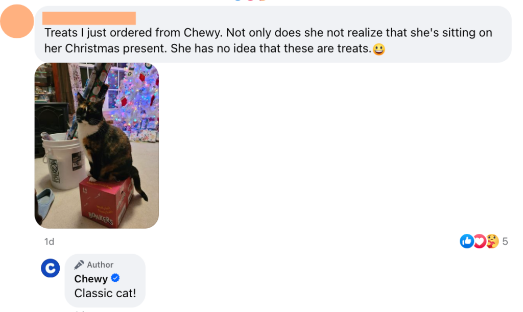 A screenshot of a comment on one of Chewy's Facebook posts. The comment includes a photo of a cat sitting on top of a box adn the copy says "Treats I just ordered from Chewy. Not only does she not realize that she's sitting on her Christmas present. She has no idea that these are treats." Chewy responds to the comment, saying "Classic cat!" This is a prime example of responding to positive engaging comments as well as questions. 