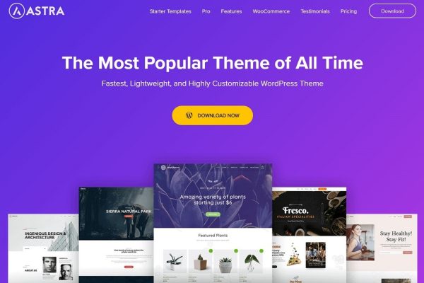 Astra Theme Review: Is It the Best WordPress Theme in 2023? - WPKube