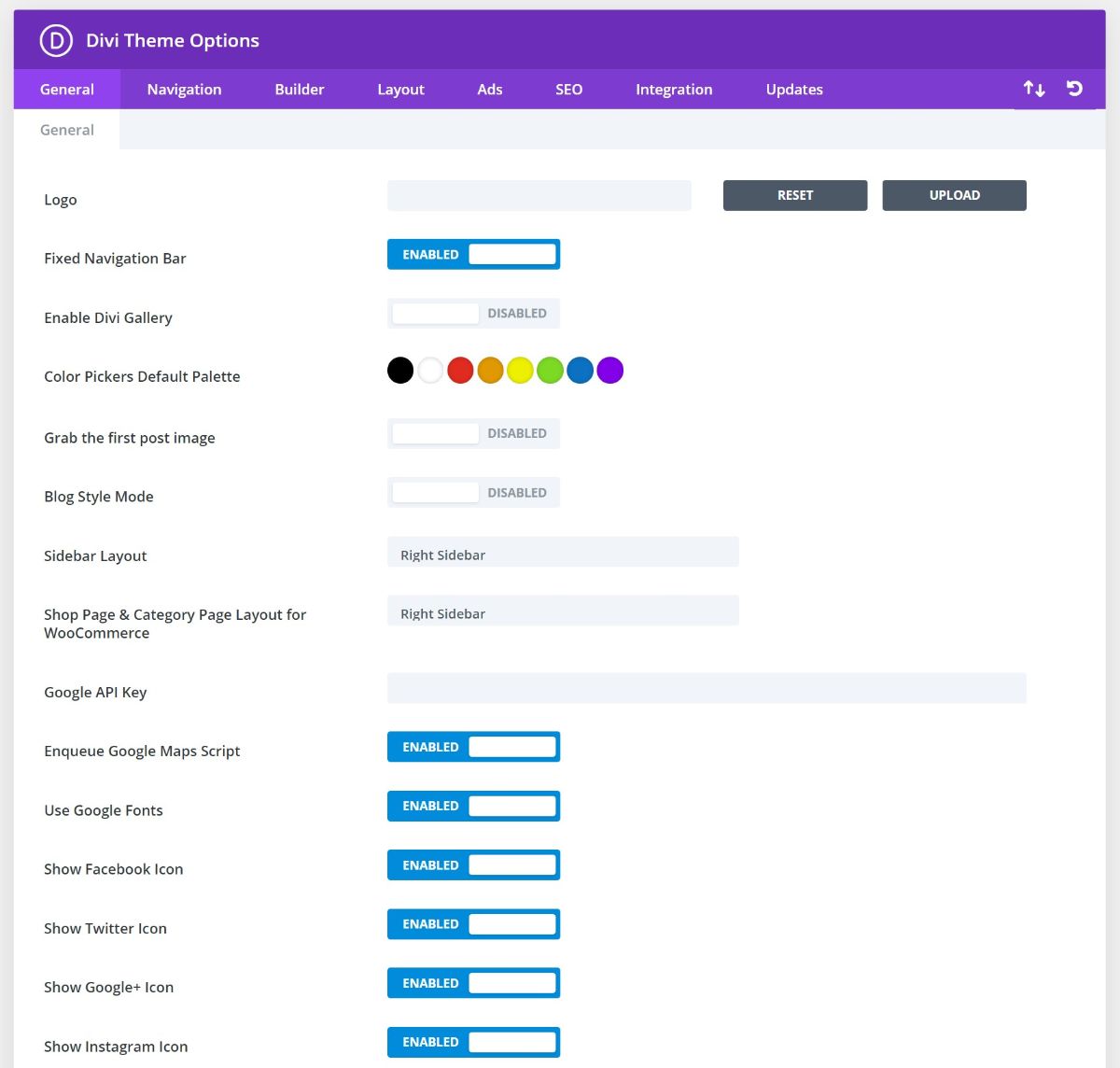 Divi theme backend options area