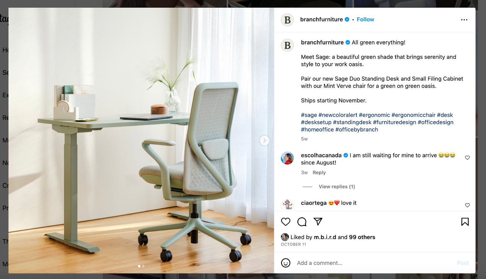A screenshot of an Instagram post featuring a picture of a green desk chair and a green standing desk.