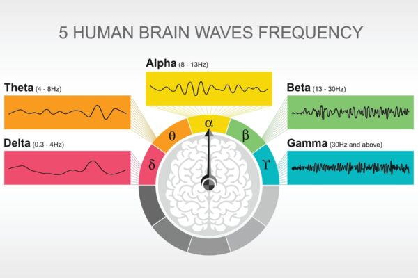 Understanding Brain States and Brain Waves: Alpha, Beta, Theta - Can They Be Controlled?