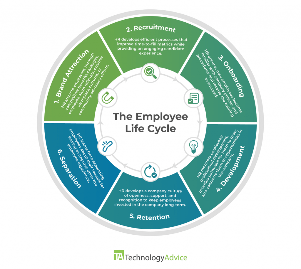 Employee Life Cycle: The HR Guide to Managing the Stages