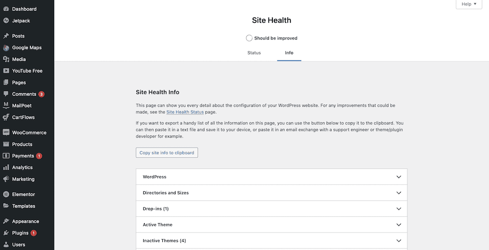 The Info tab on the Site Health screen.
