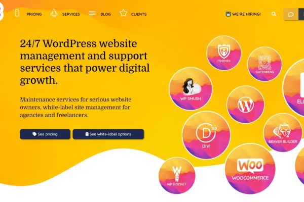 10 Best WordPress Website Maintenance and Support Services in 2022 - WPKube