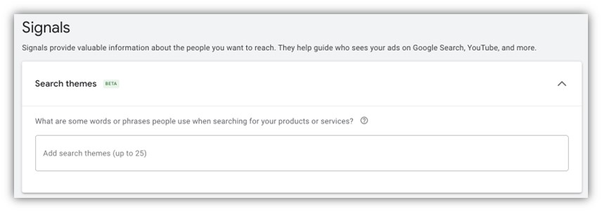 lead quality - audience signals and search themes screenshot