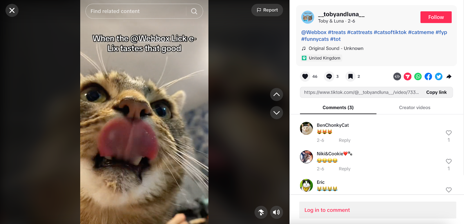 A TikTok influencer campaign by creator Toby and Luna promoting Webbox.