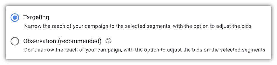 search audiences - screenshot of targeting selected in audience section of google ads