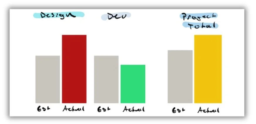 Agency metrics - bar graph of a project scope.