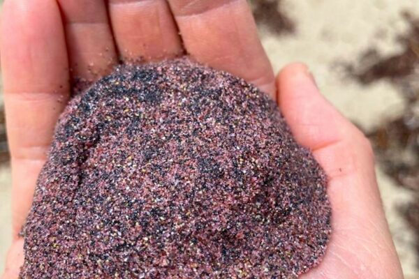 New research reveals the origin of South Australia's mysterious pink sand in the ice-covered Antarctic mountains
